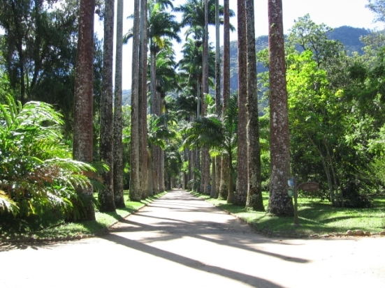 Jardin Botánico RJ