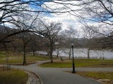 Inwood Hill Park, New York